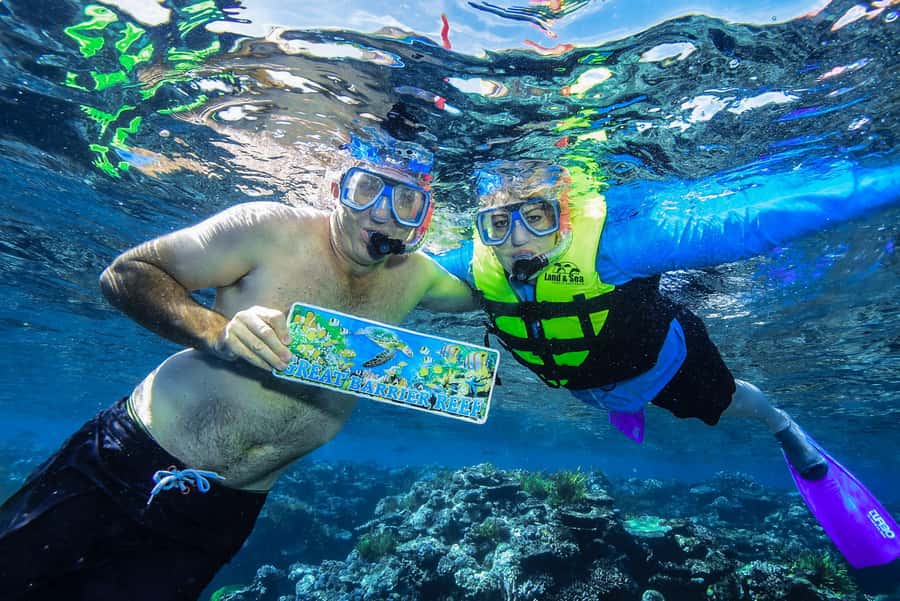 Cairns: Great Barrier Reef Premium Diving Full Day Tour - Adding an introductory or certified scuba session