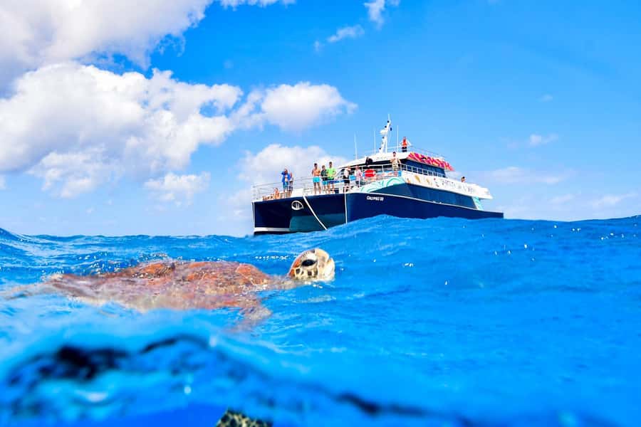 Cairns: Great Barrier Reef Premium Diving Full Day Tour - Indigenous stories and reef science