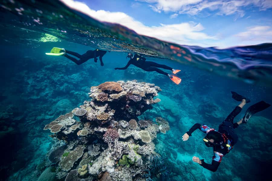 Cairns: Great Barrier Reef Premium Diving Full Day Tour - Lunch, tea breaks, and life between swims