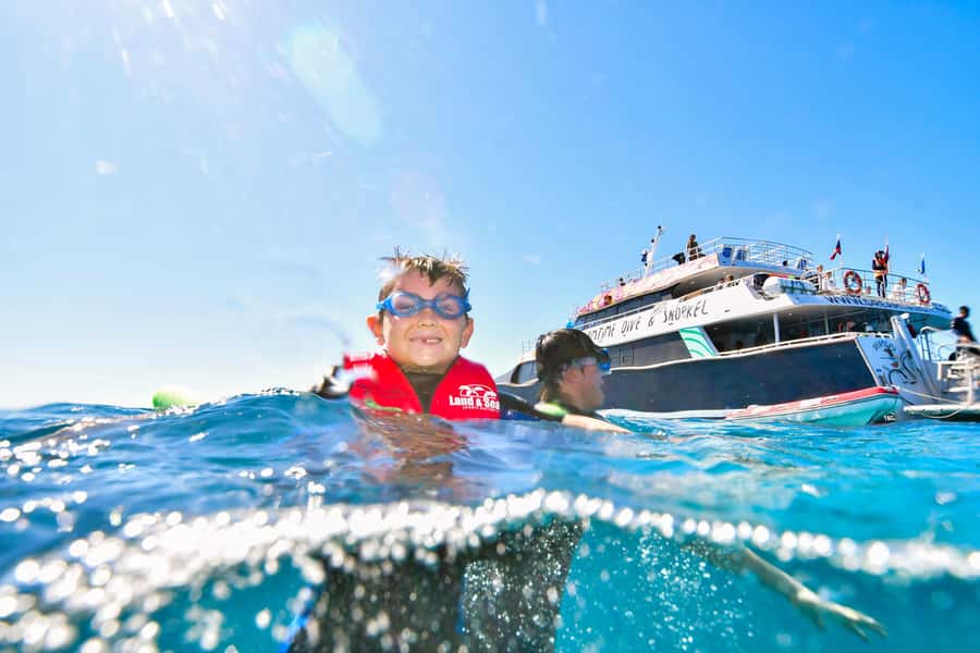 Cairns: Great Barrier Reef Premium Diving Full Day Tour - Safety, crew support, and the overall pace