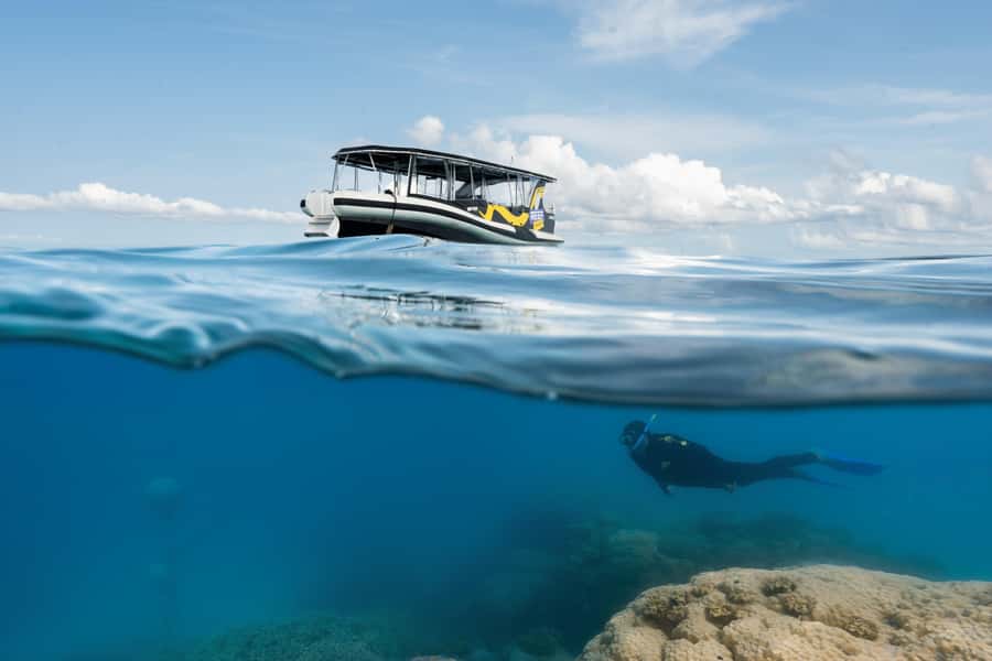 Cairns: Great Barrier Reef Small Group Snorkelling Tour - Meeting the crew at Cairns Marlin Marina