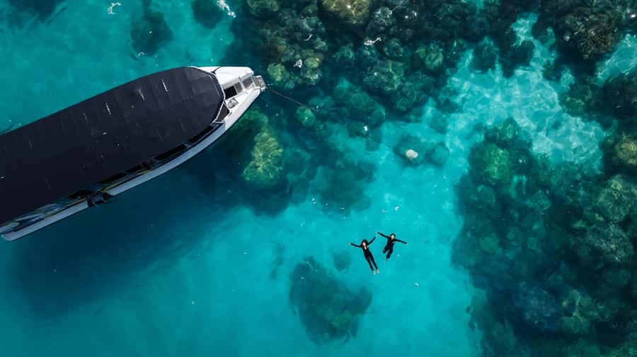 Cairns: Great Barrier Reef Small Group Snorkelling Tour - Two reef sites, chosen for the day