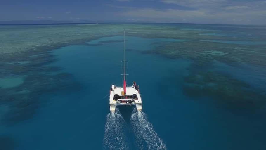 Cairns: Great Barrier Reef Snorkeling Tour with Lunch - Key points at a glance