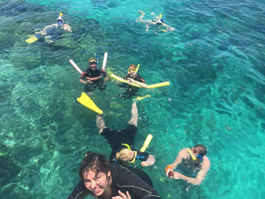 Cairns: Great Barrier Reef Snorkeling Tour with Lunch - The catamaran ride and group atmosphere