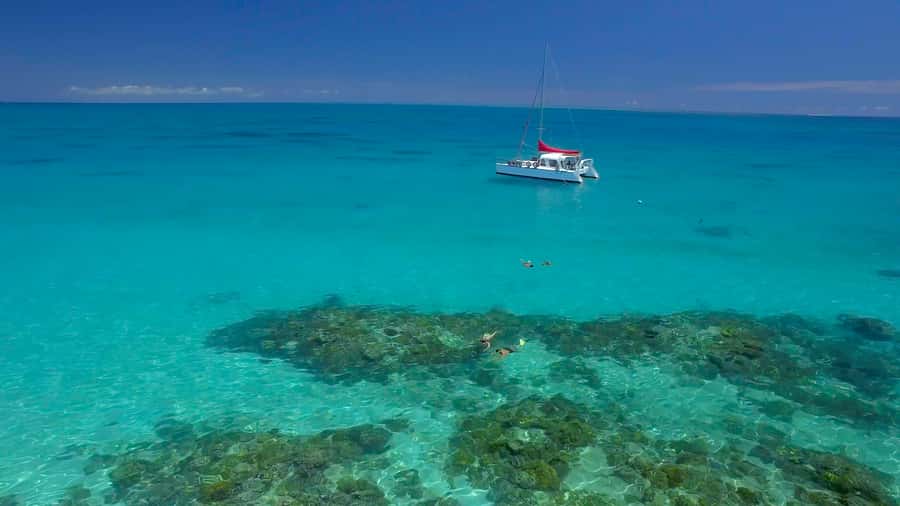Cairns: Great Barrier Reef Snorkeling Tour with Lunch - Setting out from Cairns Marlin Marina