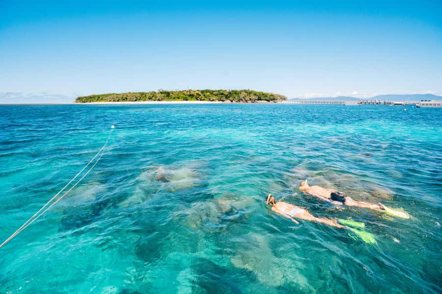 Cairns: Green Island Snorkelling or Glass Bottom Boat - From Cairns to the coral cay