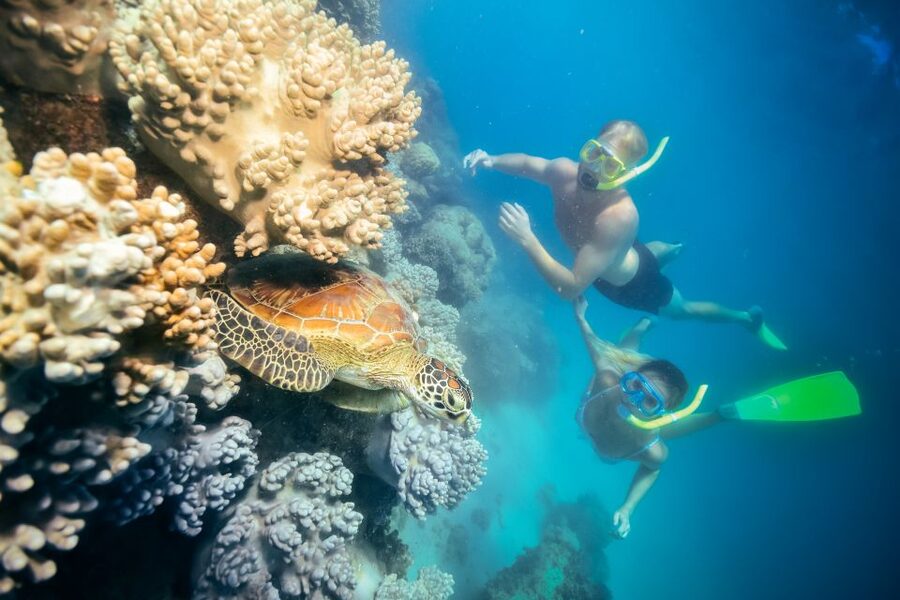 Cairns: Green Island Snorkelling or Glass Bottom Boat - Who will enjoy this Green Island trip?