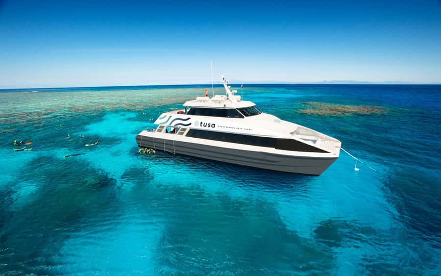 Cairns: Half-Day Outer Reef Snorkel Tour - Key things to know before booking