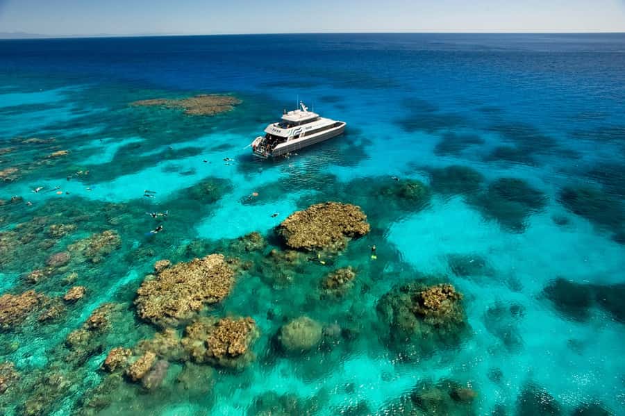 Cairns: Half-Day Outer Reef Snorkel Tour - Should you book the Cairns Outer Reef snorkel tour?