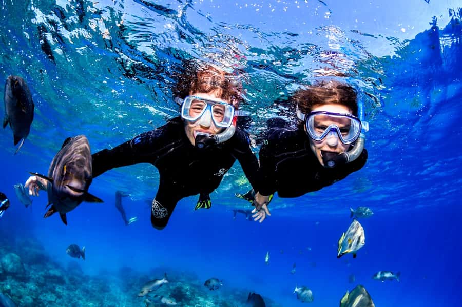 Cairns: Half-Day Outer Reef Snorkel Tour - Adding introductory scuba to the snorkel day