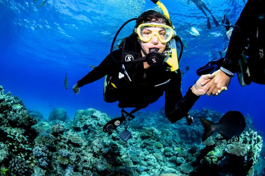 Cairns: Half-Day Outer Reef Snorkel Tour - Is $138 good value?