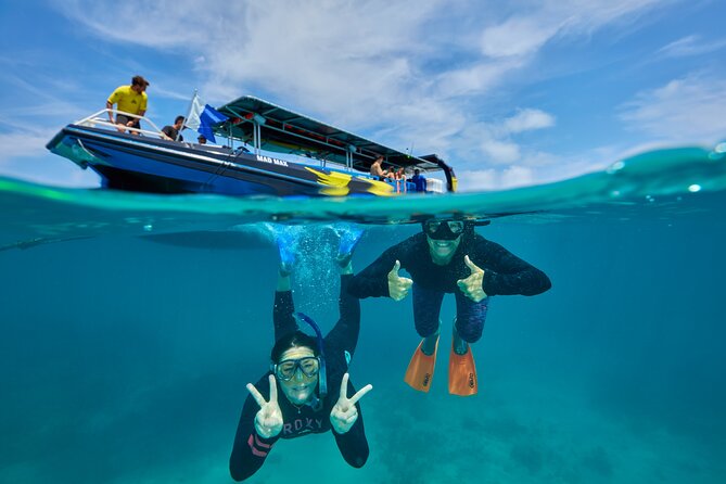 Cairns Half Day Tour a Great Barrier Reef Snorkeling Experience - Why this half-day reef trip works well in Cairns