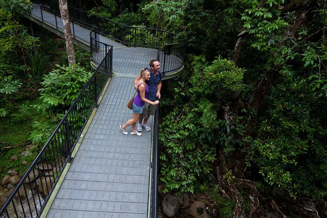 Cairns Half Day Tour a Great Barrier Reef Snorkeling Experience - Equipment, Stinger Suits, and what to bring