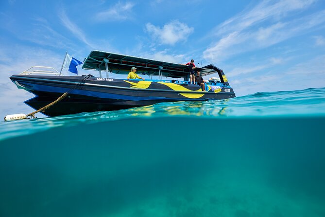 Cairns Half Day Tour a Great Barrier Reef Snorkeling Experience - Who should book this trip?
