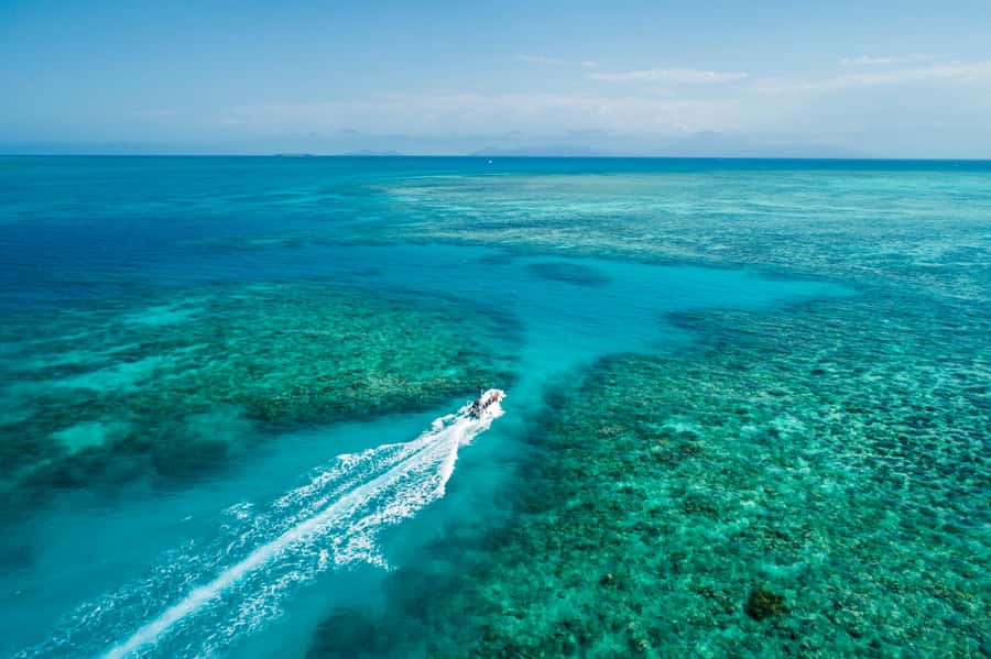 Cairns: Outer and Coral Cay Snorkel and Dive Cruise - The Best Parts of This Cairns Reef Cruise
