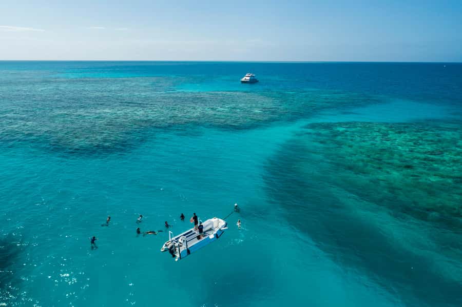 Cairns: Outer and Coral Cay Snorkel and Dive Cruise - Leaving Marlin Marina on a Fast Catamaran