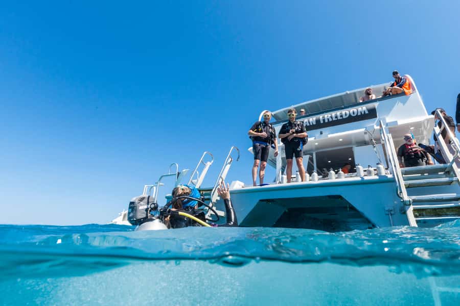 Cairns: Outer and Coral Cay Snorkel and Dive Cruise - Six Hours in the Water, Without a Stopwatch Feeling