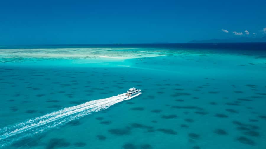 Cairns: Outer and Coral Cay Snorkel and Dive Cruise - Scuba Options for Beginners and Certified Swimmers