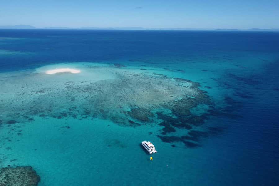 Cairns: Outer Great Barrier Reef & Dunk Island Small Group - Three snorkel sessions at Beaver Reef
