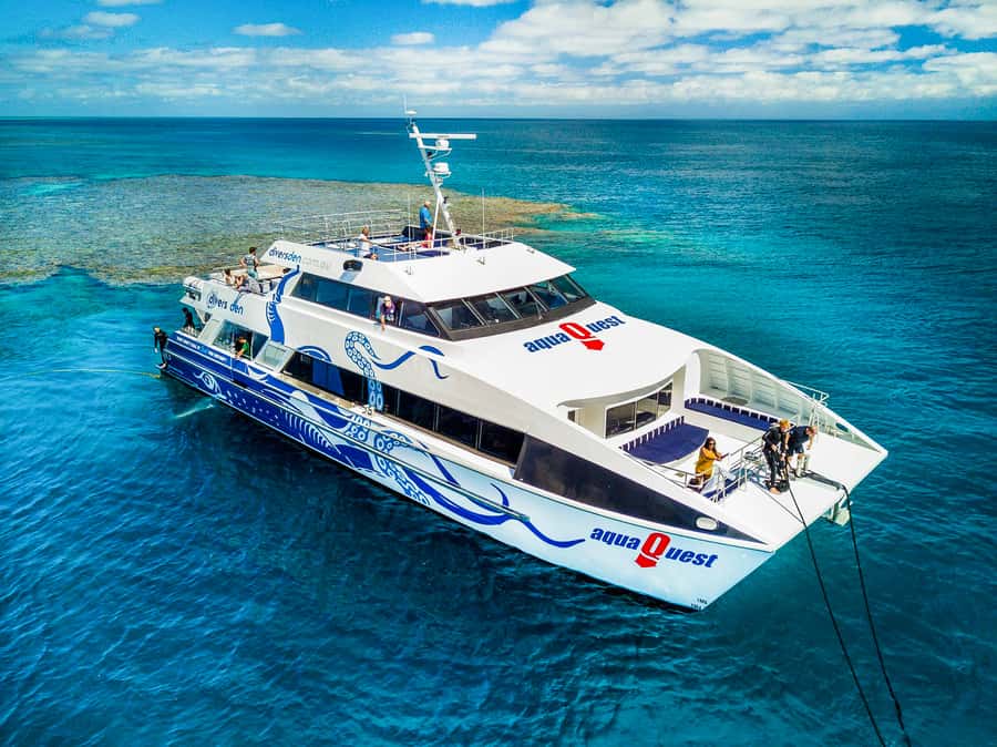 Cairns: Premium Snorkelling and Diving Reef Day Trip - Key points to know before you book