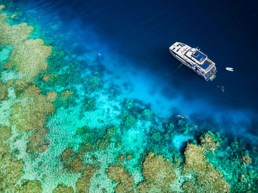 Cairns: Premium Snorkelling and Diving Reef Day Trip - Practical tips for a smoother day