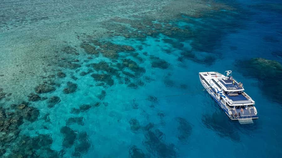 Cairns: Premium Snorkelling and Diving Reef Day Trip - Setting off from Cairns at 8:00 AM