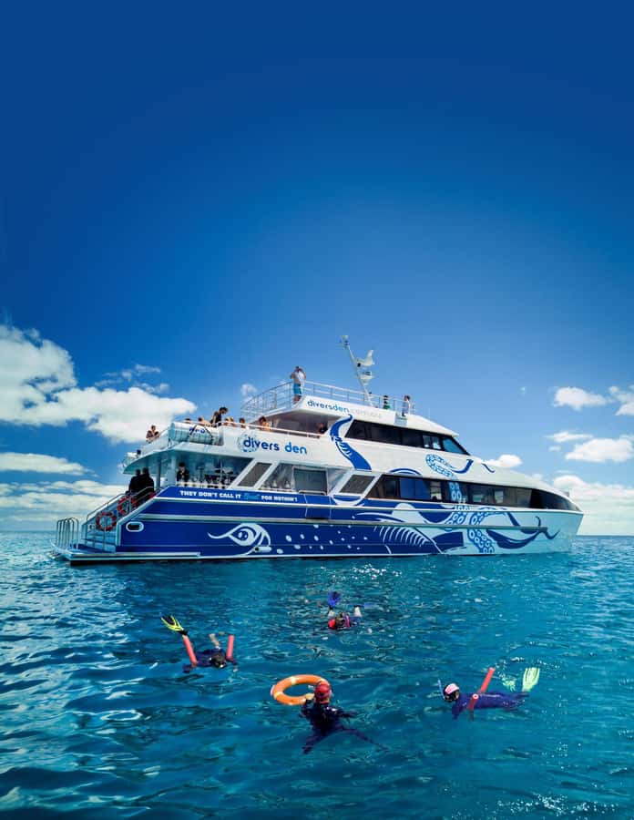 Cairns: Premium Snorkelling and Diving Reef Day Trip - Lunch, showers, and the 45-minute move
