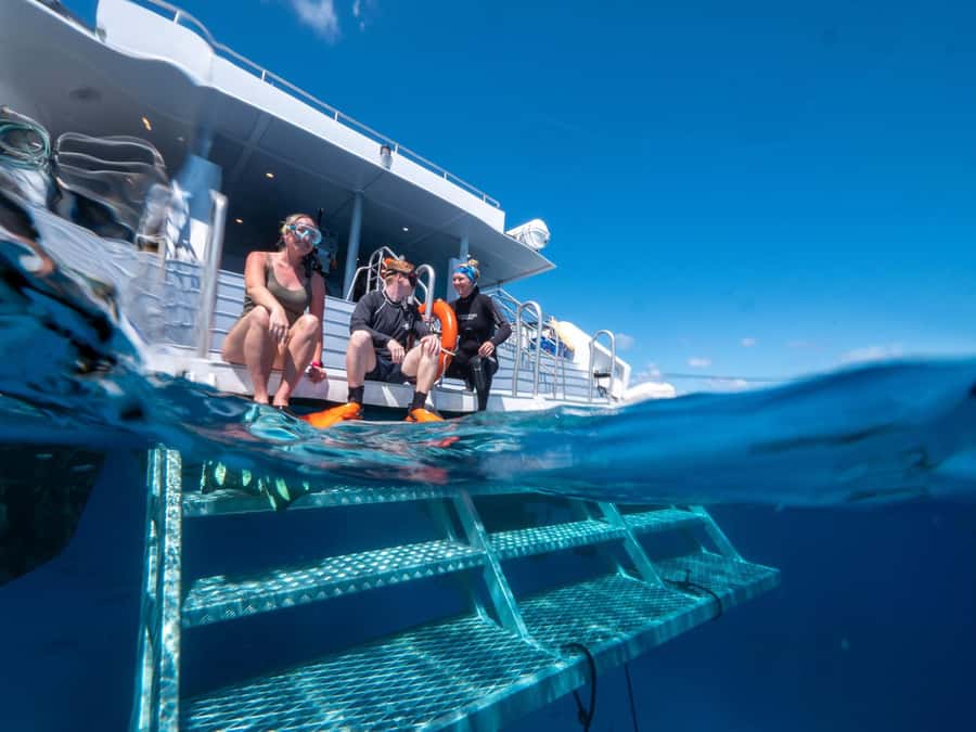 Cairns: Premium Snorkelling and Diving Reef Day Trip - Why the second reef site matters