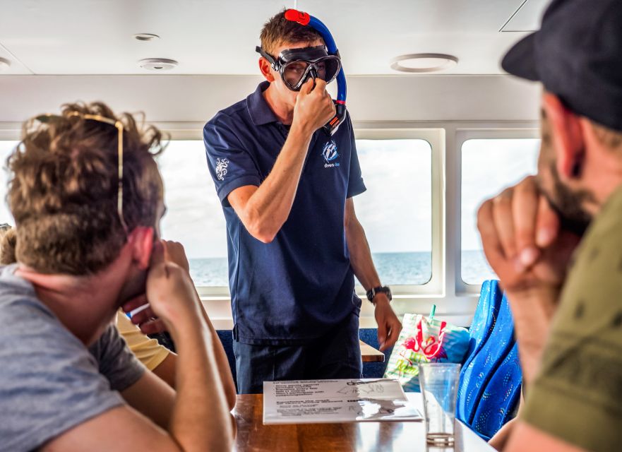 Cairns: Premium Snorkelling and Diving Reef Day Trip - The return to Cairns