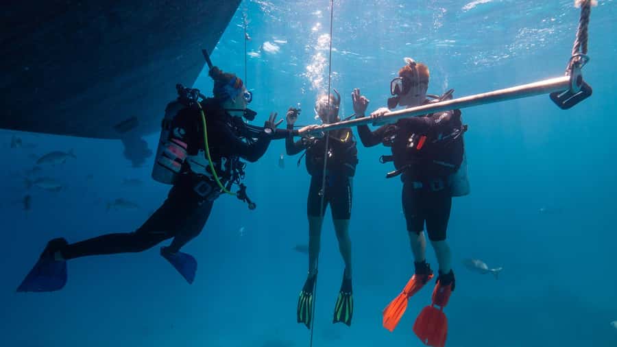 Cairns: Premium Snorkelling and Diving Reef Day Trip - What the $166 price really covers