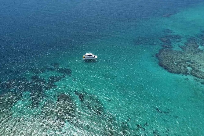 Cairns: Small Group | Outer Great Barrier Reef Snorkel & Dunk Is. - Key reasons this Cairns reef trip is worth a look