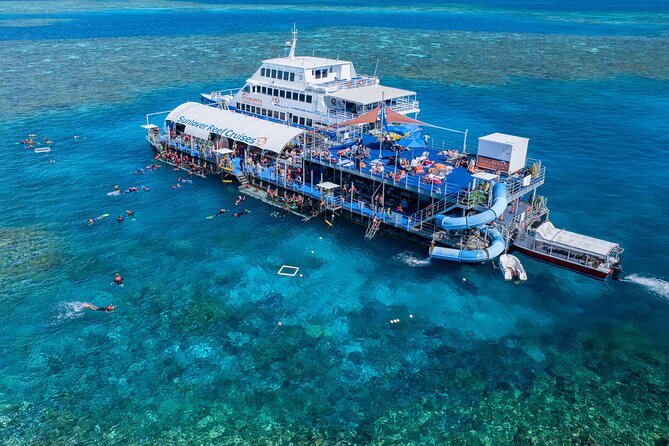 Cairns: Small Group | Outer Great Barrier Reef Snorkel & Dunk Is. - Food, drinks, and what you need to bring