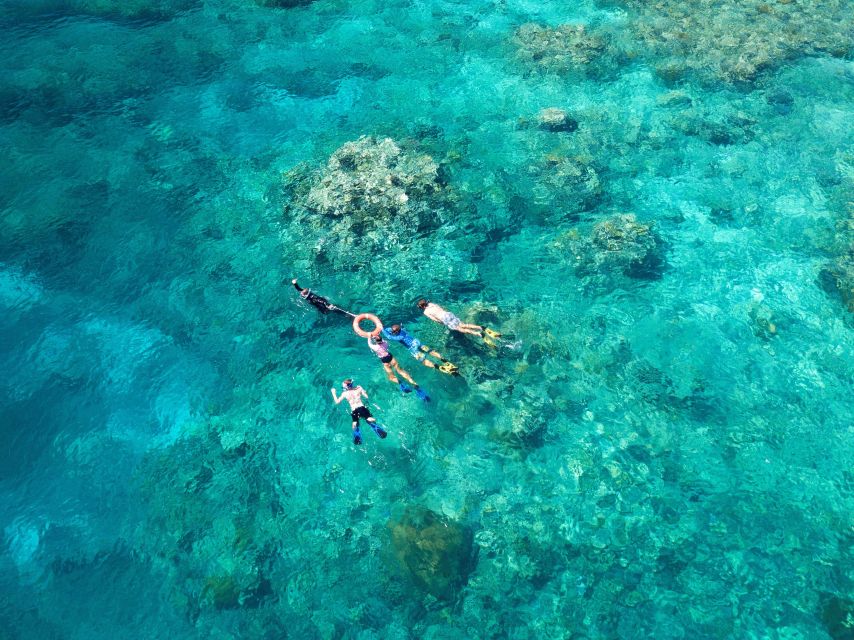Cairns: Snorkelling and Diving Reef Day Trip - Who should book this reef day trip?