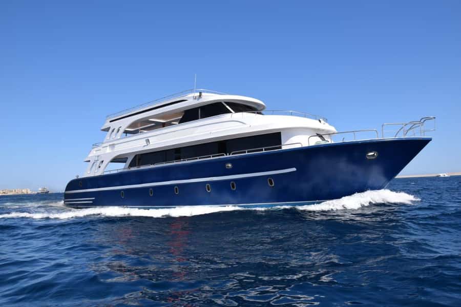 Cairo: Ain Sokhna Snorkeling cruise & optional transfer - Key points to know before booking