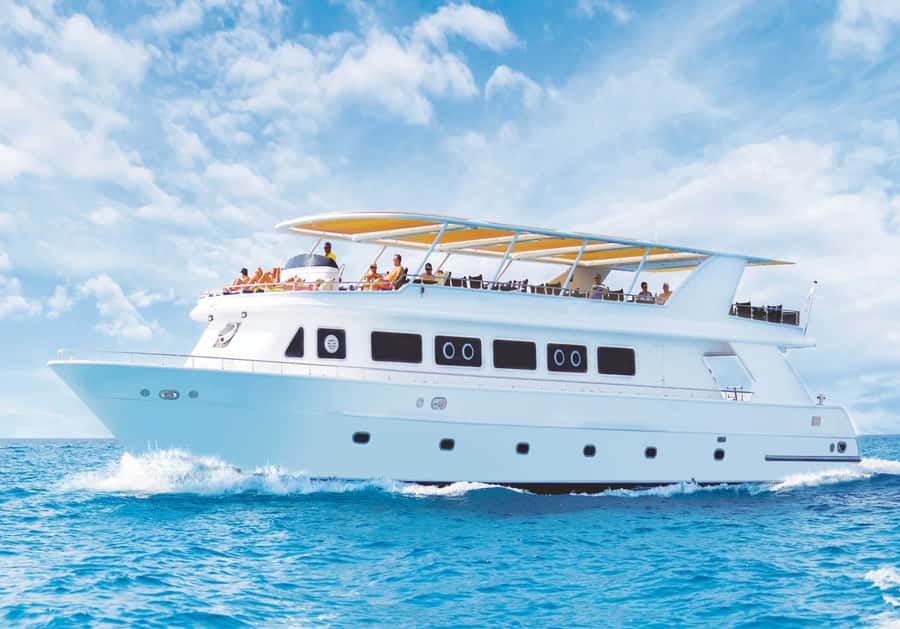 Cairo: Luxury Snorkeling Cruise & lunch with optional pickup - From Cairo to the Red Sea coast