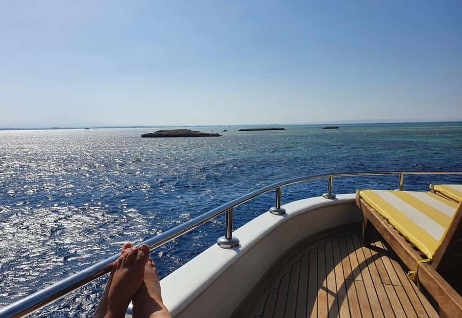 Cairo: Luxury Snorkeling Cruise & lunch with optional pickup - What the Red Sea experience is really like