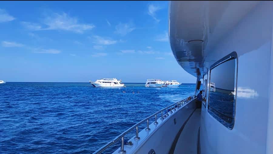 Cairo to Red Sea: VIP Yacht Cruise, Snorkeling & Lunch - Snorkeling at the same premium location