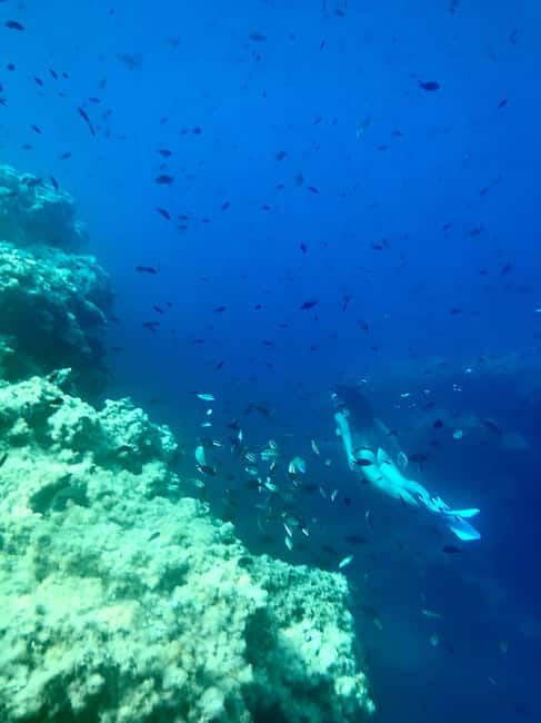 Cala Codolar: Sea & Caves Kayaking Tour with Snorkeling - Is $59 a Good Value for Three Hours?
