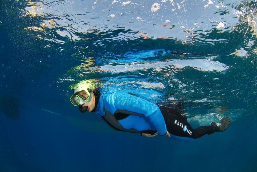 Calvi: Pointe de la Revellata Snorkeling Boat Tour - Should you book the Pointe de la Revellata trip?