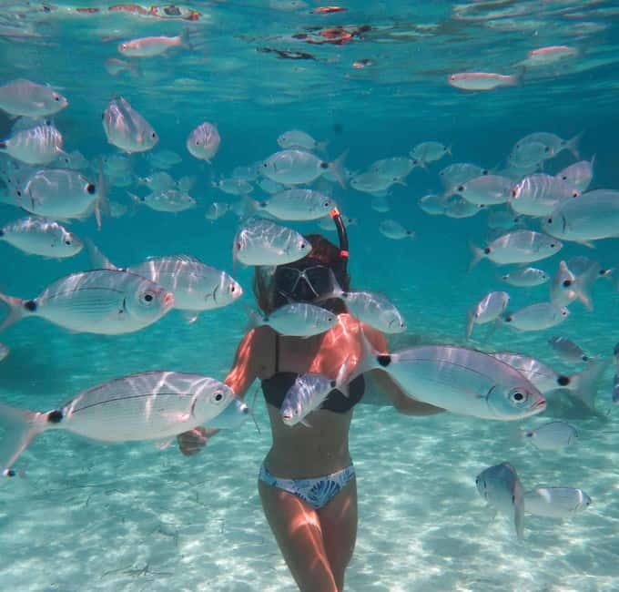 Calvi : Sortie snorkeling en bateau en bordure de réserve - One hour among fish, rocks, and sea life