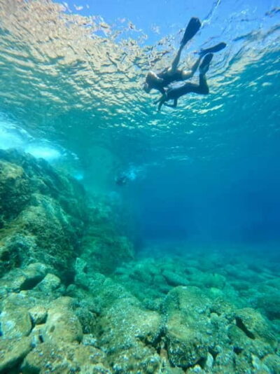 Calvi : Sortie snorkeling en bateau en bordure de réserve