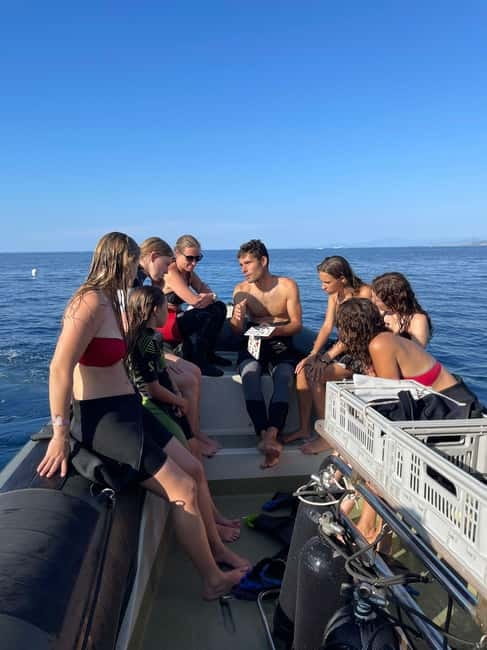 Calvi : Sortie snorkeling en bateau en bordure de réserve - Who will enjoy this outing most