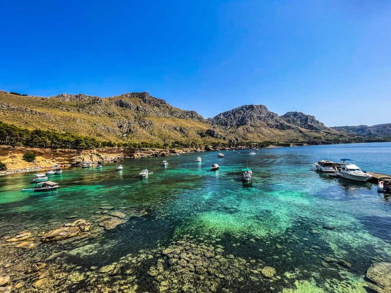 Can Picafort: 2-Hour Boat Tour with Snorkeling & Sea Caves - Swimming and snorkeling in clear water