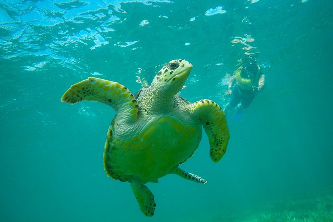 Cancun Adventure: Reef Snorkeling & Parasailing Experience - Equipment, instruction, and group size