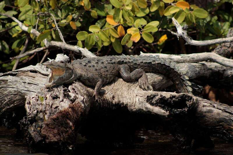 Cancun: Jungle Tour Adventure with Speedboat and Snorkeling - Small details that make the day easier