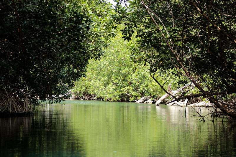 Cancun: Jungle Tour Adventure with Speedboat and Snorkeling - Salbutes and flavored water at the finish