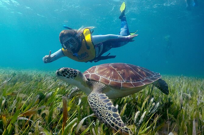 Cancun Snorkeling Adventure: Underwater Museum, Reef & Shipwreck - What this Cancun snorkeling trip is really like