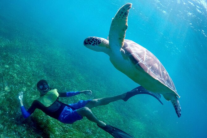 Cancun Snorkeling Adventure: Underwater Museum, Reef & Shipwreck - Safety help for nervous swimmers