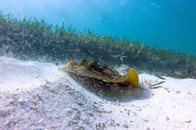 Cancun Snorkeling Adventure: Underwater Museum, Reef & Shipwreck - Equipment, lockers, showers, and what to bring