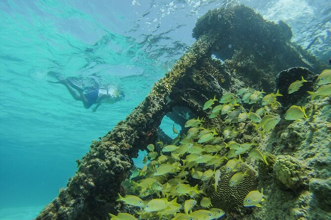 Cancun Snorkeling Adventure: Underwater Museum, Reef & Shipwreck - Price and what you receive for it